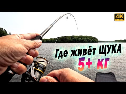 Видео: Где живёт Щука больше пяти килограмм. Если ловишь только шнурков