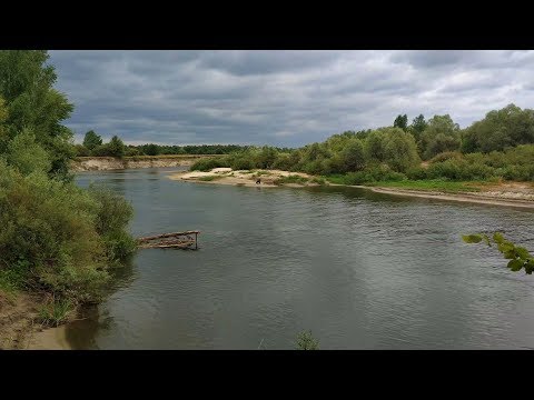 Видео: Хмурый Сейм.  Отдых с палатками в районе Батурина. Июнь 2019