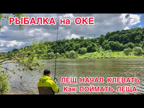 Видео: РЫБАЛКА НА ОКЕ на ФИДЕР / ЛЕЩ ПОШЁЛ / КАК ПОЙМАТЬ ЛЕЩА в МАЕ