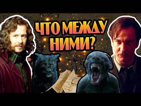 Видео: Почему Сириус Блэк Не Доверял Римусу Люпину?