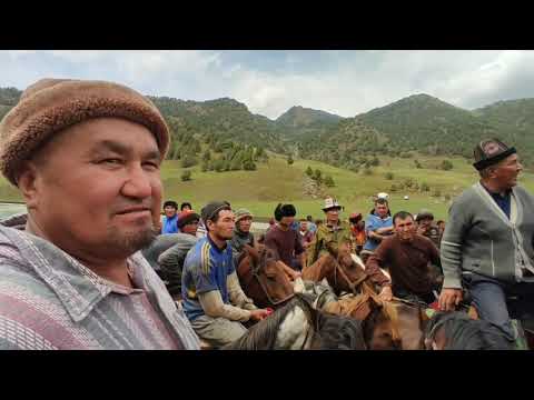 Видео: БЕГАЛЫ палбан берген СЕРЕДЕГИ УЛАК 2- БОЛУК