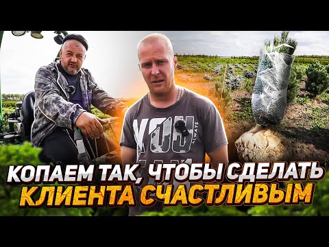 Видео: 🪴Секрет ИДЕАЛЬНОГО КОМА (о котором забывают питомники растений)