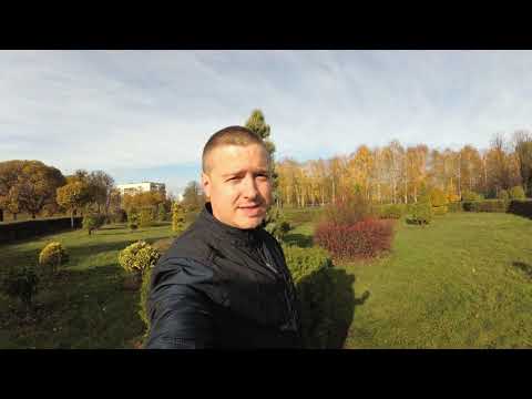 Видео: РОСЛИНИ ДЛЯ ЖИВИХ ОГОРОЖ (Граб, Самшит, Бирючина, Тис, Кизильник)