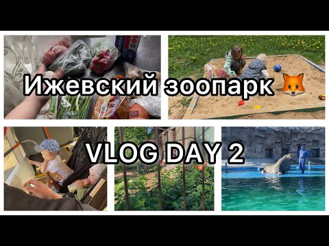 Видео: VLOG DAY 2|| Ижевский зоопарк🦊