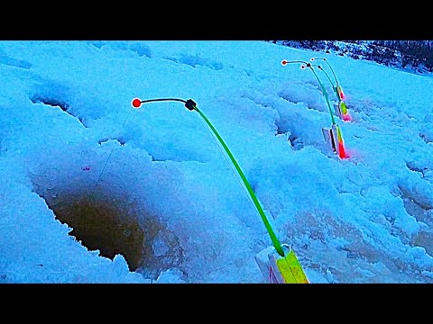 Видео: Поставил ВЕРТОЛЕТЫ на КРУПНУЮ РЫБУ. Ловля ПЛОТВЫ на реке. Зимняя рыбалка 2022.