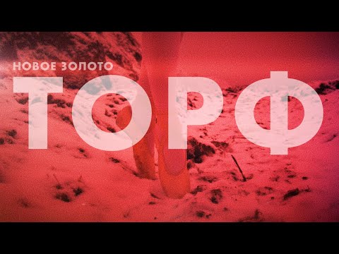 Видео: Торф – новое золото