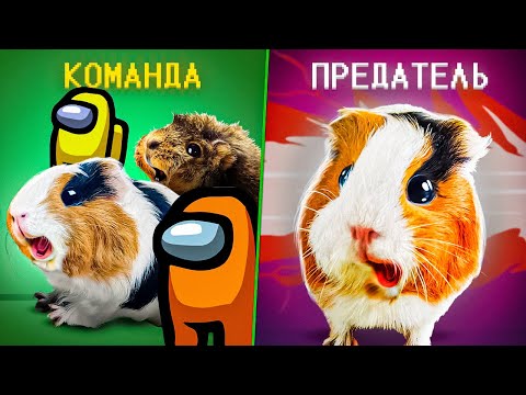 Видео: Among Us в реальной жизни | Свинка Бузя