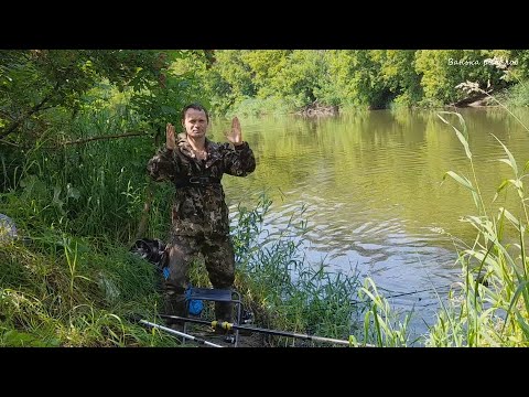 Видео: Трофейная ПЛОТВА щука На Живца. Рыбалка На Поплавок в Июне.