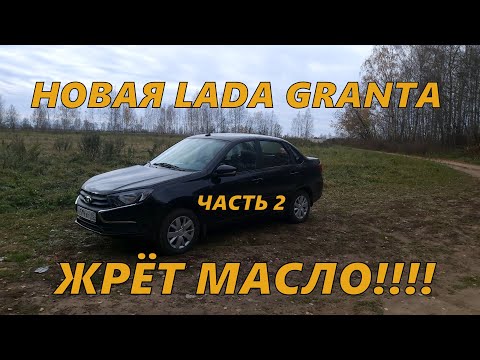 Видео: ПРОБЛЕМЫ С НОВЕНЬКОЙ LADA GRANTA. Дилер НЕ ХОЧЕТ РЕМОНТИРОВАТЬ. Жор МАСЛА ПРОДОЛЖАЕТСЯ. Часть 2.