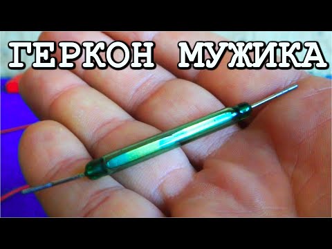Видео: ГЕРКОН НАСТОЯЩЕГО МУЖИКА Как реально работают герконы.