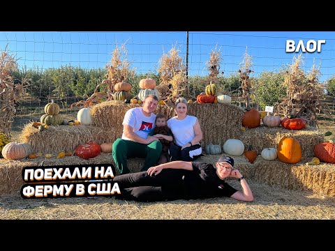 Видео: США Поехали на ферму Green Bluff / Фермерский рынок / Магазин сувениров USA
