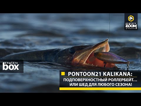 Видео: Pontoon21 Kalikana: подповерхностный роллербейт… или шед для любого сезона! Anglers Box