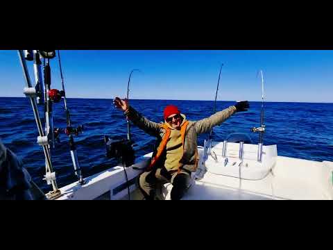 Видео: Троллинг лосося.Рыбалка на лосося 27 апреля 2022 г.