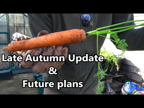 Видео: Что происходит в Уилтширском саду Мэнса на 2 акрах