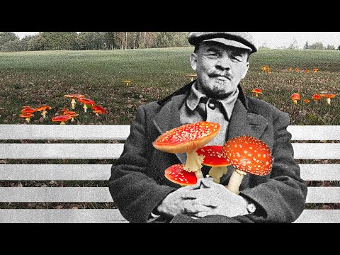 Видео: Стрим Ежи Сармата [17.10.2025] Строим коммунизм в Stellaris, RDR2 Hate RP