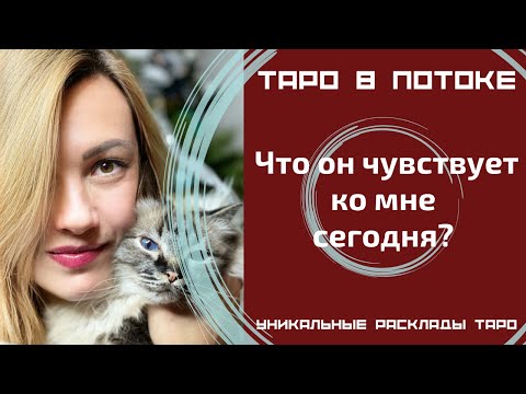 Видео: Что он чувствует ко мне сегодня?