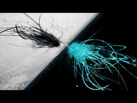 Видео: Противоположности и противоречия