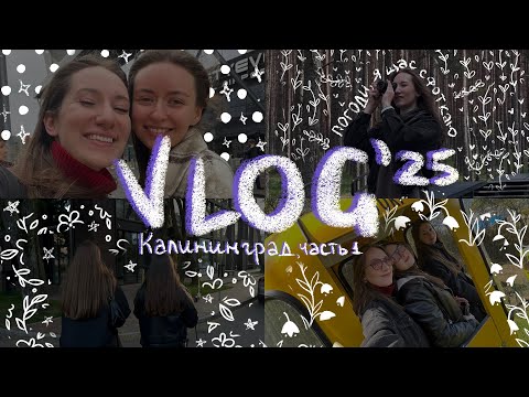 Видео: 70. давайте выберем на чем у меня гиперфиксация: поматти, зикер 001, еда или котята