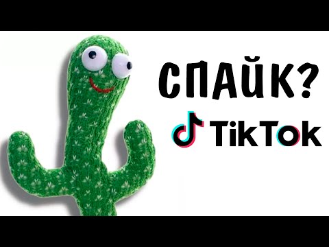 Видео: Кактус ПОВТОРЮШКА! Умеет петь и танцевать ХИТ ТикТок