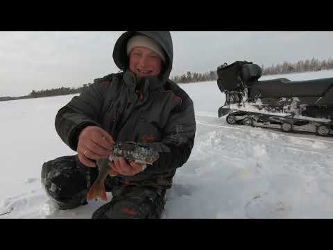 Видео: РЫБАЛКА НА ОЗЕРЕ В ТОМСКОЙ ОБЛАСТИ! ЧАСТЬ 1