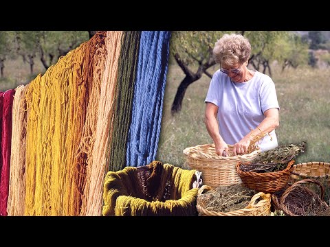 Видео: Растения и корни для естественного окрашивания текстильных волокон. Таковы цвета природы