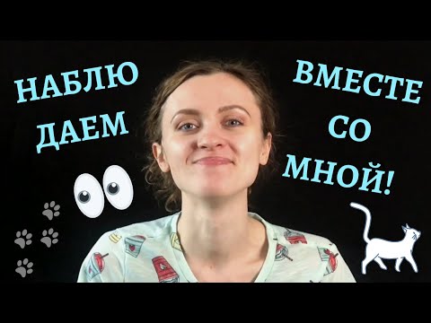 Видео: Наблюдение за животными!