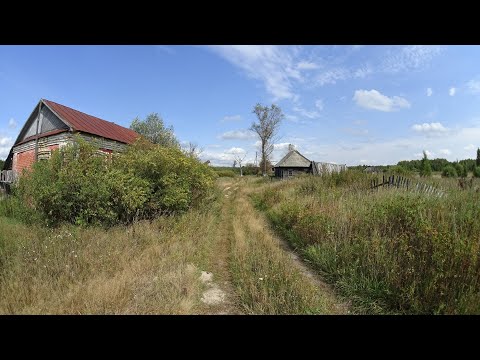 Видео: Саловка 2015