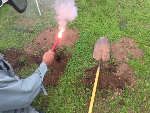 Видео: ЛУЧШЕЕ РЕШЕНИЕ GOPHER