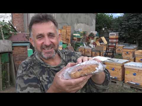 Видео: Сублиматор, дым пушка, полоски.Осенняя обработка от клеща.
