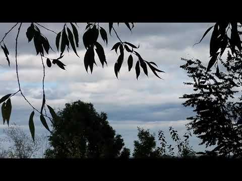 Видео: Неудачное путешествие на Форт Болестрашице 13б  październik 23, 2025   Nieudana wyprawa do Fortu 13b