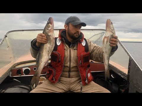 Видео: Ловля судака на Ладоге | Открытие сезона