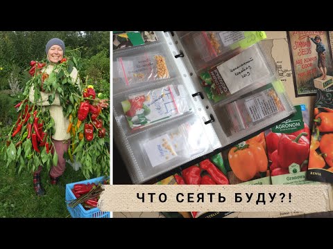 Видео: Моя коллекция семян перца из 100 сортов / Как храню семена / Что посею в 2023 / My pepper collection