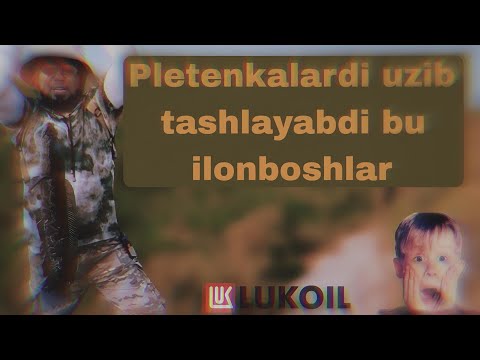 Видео: Бугунги ИЛОНБОШ ови жуда кизикарли бўлди. 