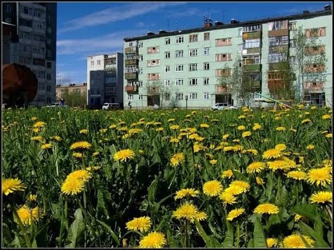 Видео: Сегодня в мире - Две остановки (Doomer version)