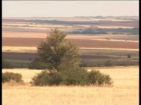 Видео: Горчак занимает волгоградские поля