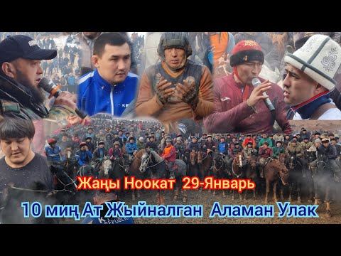 Видео: Орто Азия  Жыйналган  Жаңы Ноокат  Сардорбектин  Аламан Улагы видео Толугу