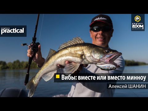 Видео: Вибы: вместе или вместо минноу. Алексей Шанин. Anglers Practical