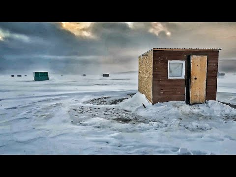 Видео: Рыбалка на рипуса