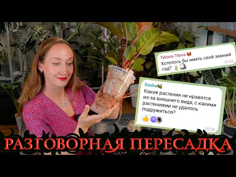 Видео: РАЗГОВОРНАЯ ПЕРЕСАДКА: ответы на вопросы I Переделываю большую зону ЧАСТЬ 2