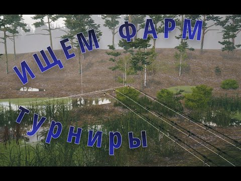 Видео: ИЩЕМ ФАРМ + ТУРНИРЫ / РР4