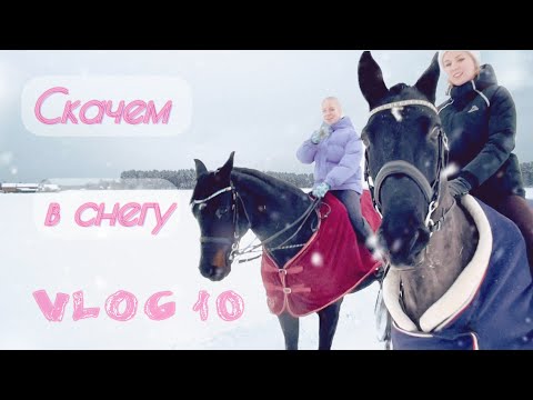 Видео: VLOG 10 | СКАЧКИ В СНЕГУ | ПОБРИЛИ БУЛКУ