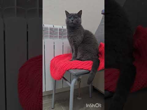 Видео: Влог#1