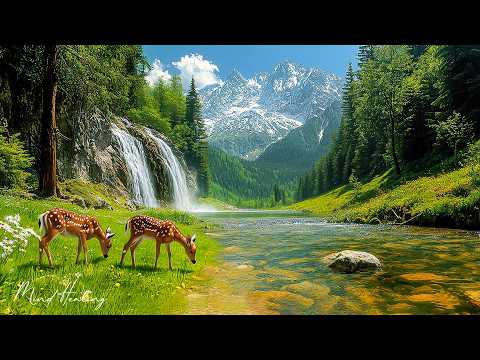 Видео: Целительная музыка для внутреннего покоя 🌿 Спокойные звуки природы для снятия стресса