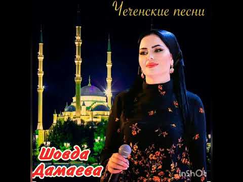 Видео: Шовда Дамаева​-Кехат😻❤️❤️🎼
