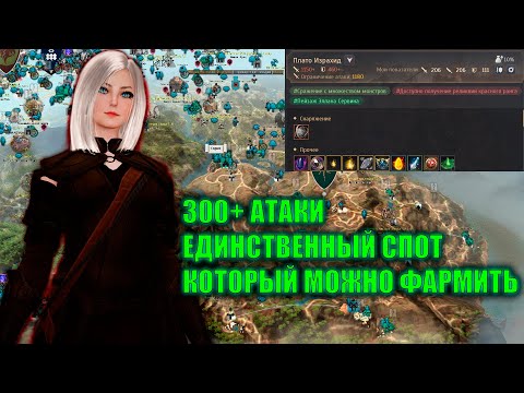 Видео: Black Desert ПУТЬ НОВИЧКА 300 АТАКИ ГДЕ ФАРМИТЬ\ПЛАТО ИЗРАХИД