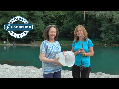 Видео: Ловим рыбу в Словении!  Будет ли улов форели для всей группы?