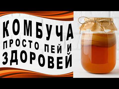 Видео: Как сделать чайный гриб (комбучу) мощным лекарством: 4 совета!