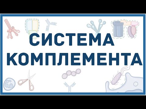 Видео: Система комплемента - механизм, составные белки, пути активации