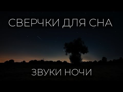 Видео: Звуки сверчков для сна, поле, деревня, костёр. Музыка для сна и релакса.