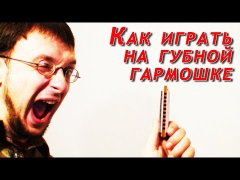 Видео: Как нучиться играть на губной гармошке. Видео. Урок игры на губной гармошке (Для новичков)